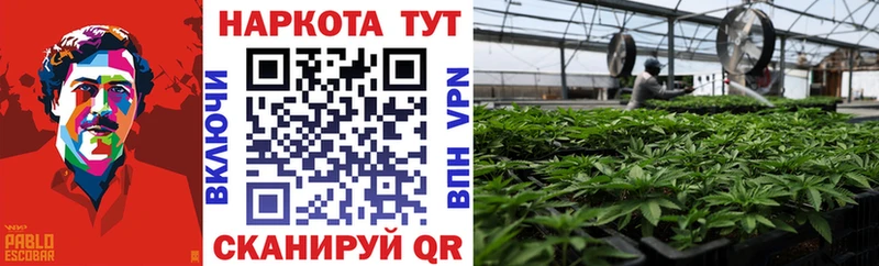Купить наркотики цена Сокол Галлюциногенные грибы  ГАШ  Alpha-PVP 