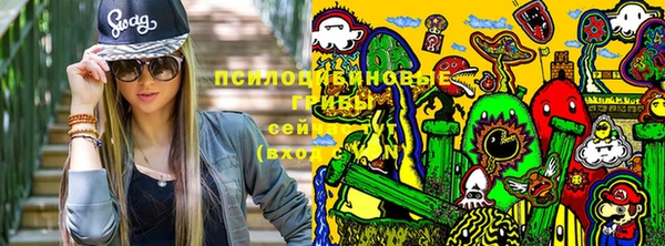винт Каменск-Шахтинский
