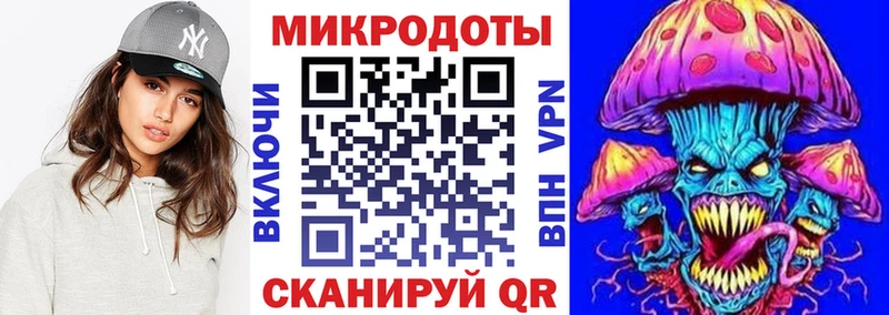 закладки  MEGA зеркало  Псилоцибиновые грибы мицелий  Сокол 
