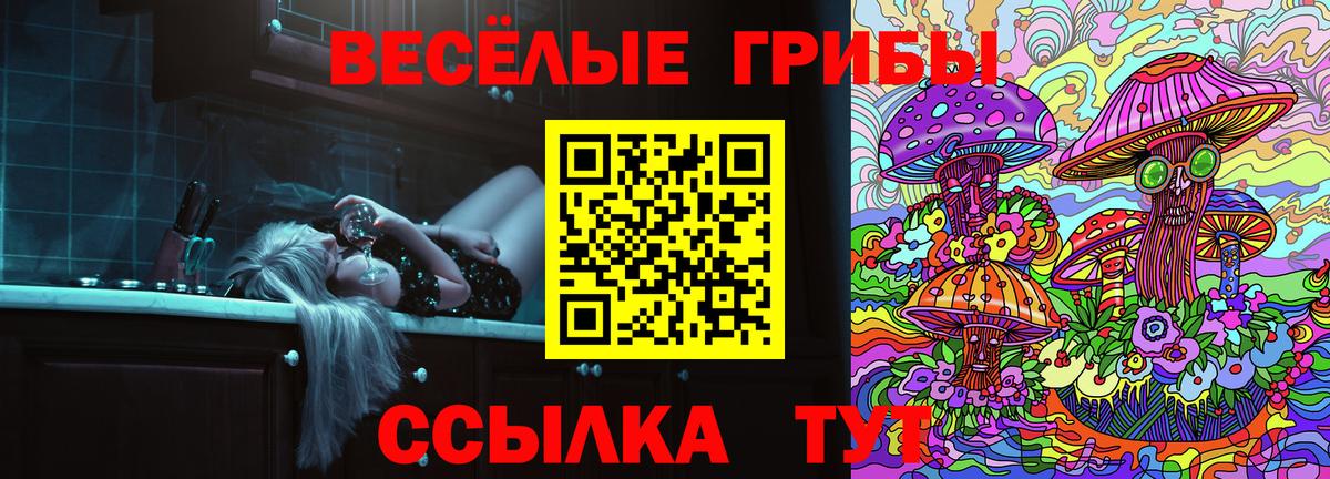 закладка  Вход с VPN  Сокол  Галлюциногенные грибы Cubensis  Галлюциногенные грибы Psilocybe 