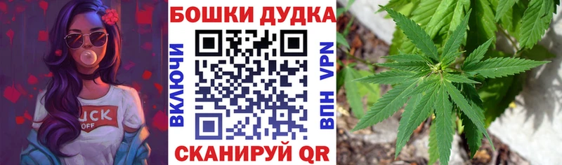 МЕГА ONION  наркотики  Сокол  Каннабис план 